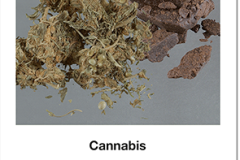 Rauschgift_01_Cannabis