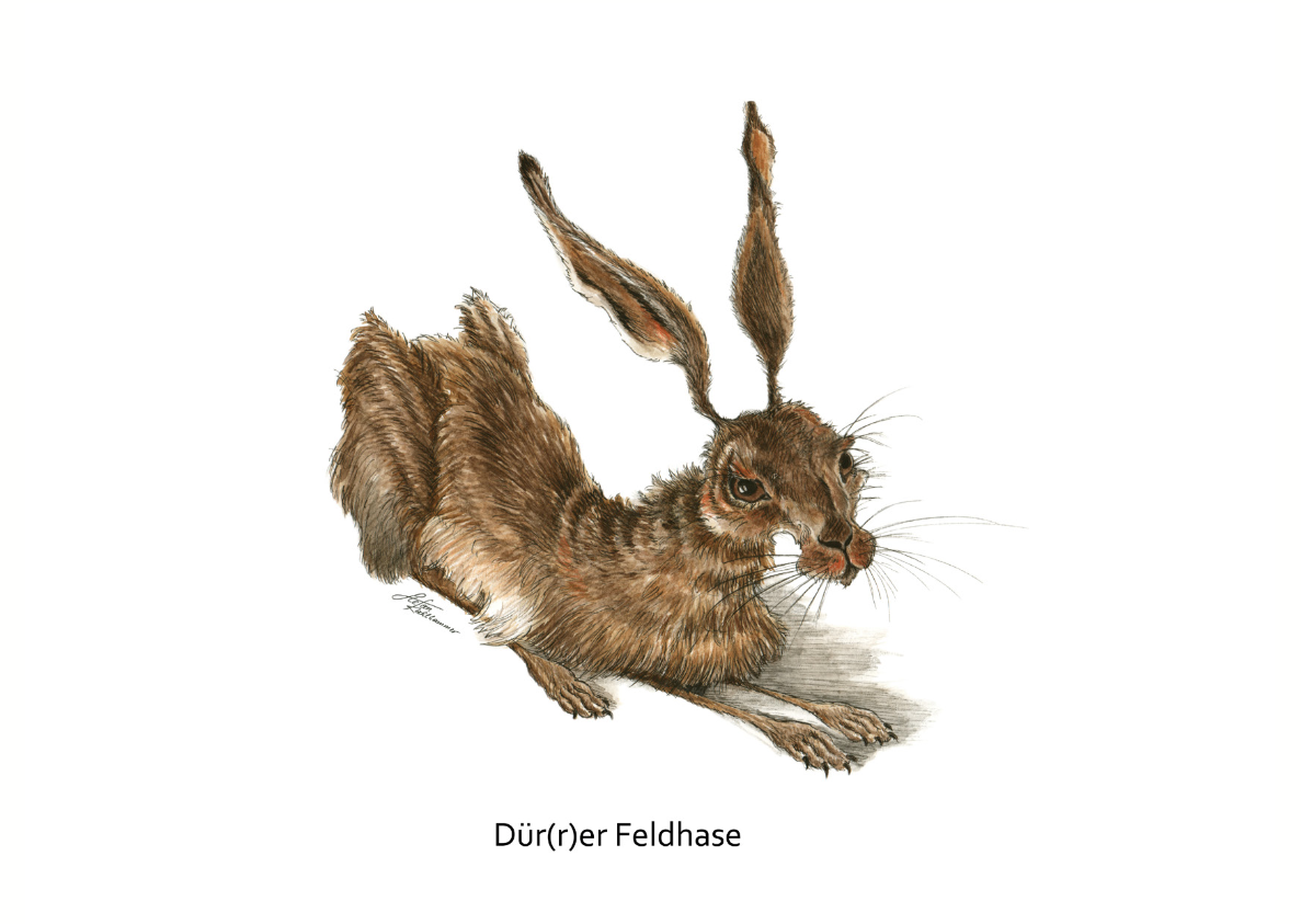 Dür(r)er Feldhase (Postkarte)
